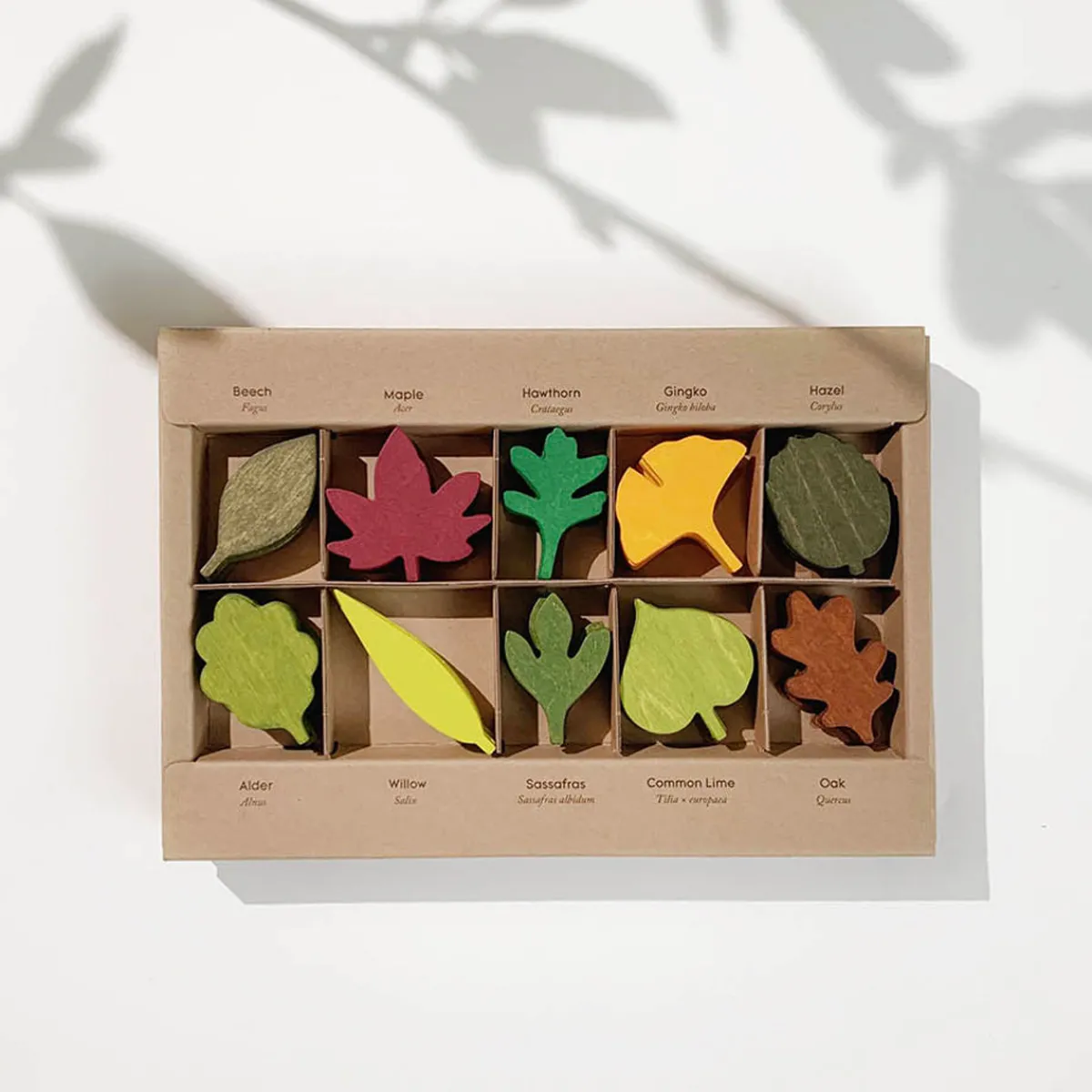 Moon Picnic Milieubewustzijn | Creativiteit & Fantasie*Houten bladeren