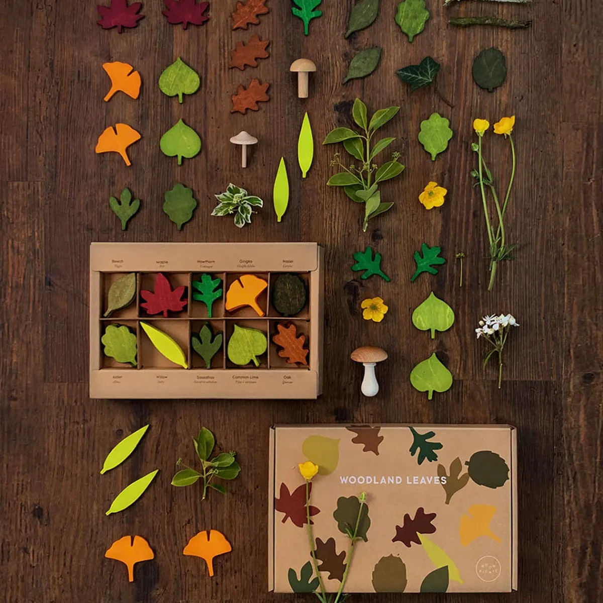 houten_bladeren_5.webp Moon Picnic Milieubewustzijn | Creativiteit & Fantasie*Houten bladeren