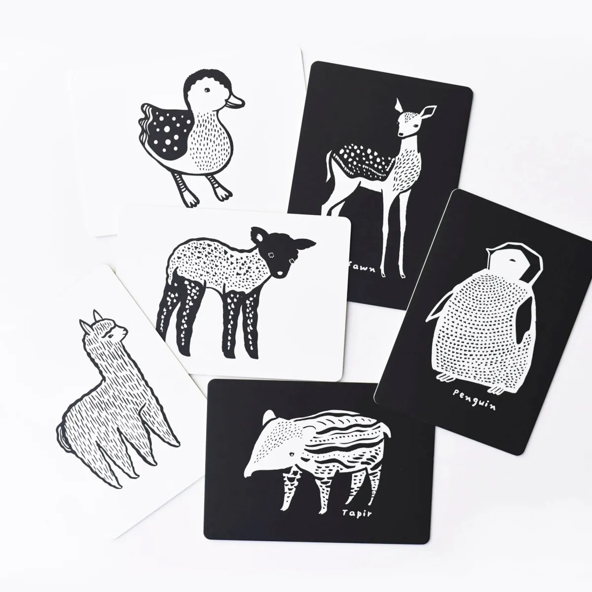 Wee Gallery Zintuigen | Concentratie & Geheugen*Kijkkaarten Art Cards Baby dieren